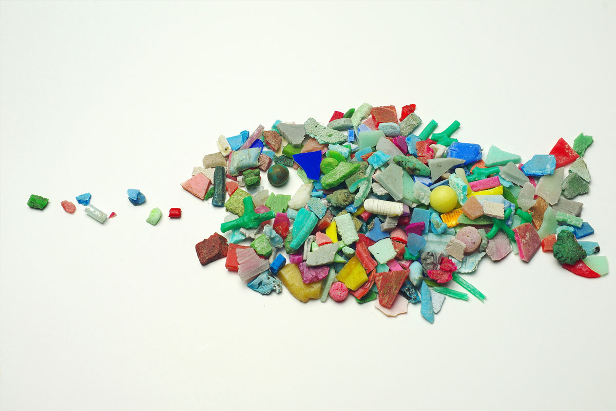マイクロプラスチックは有害物質の運び屋!?