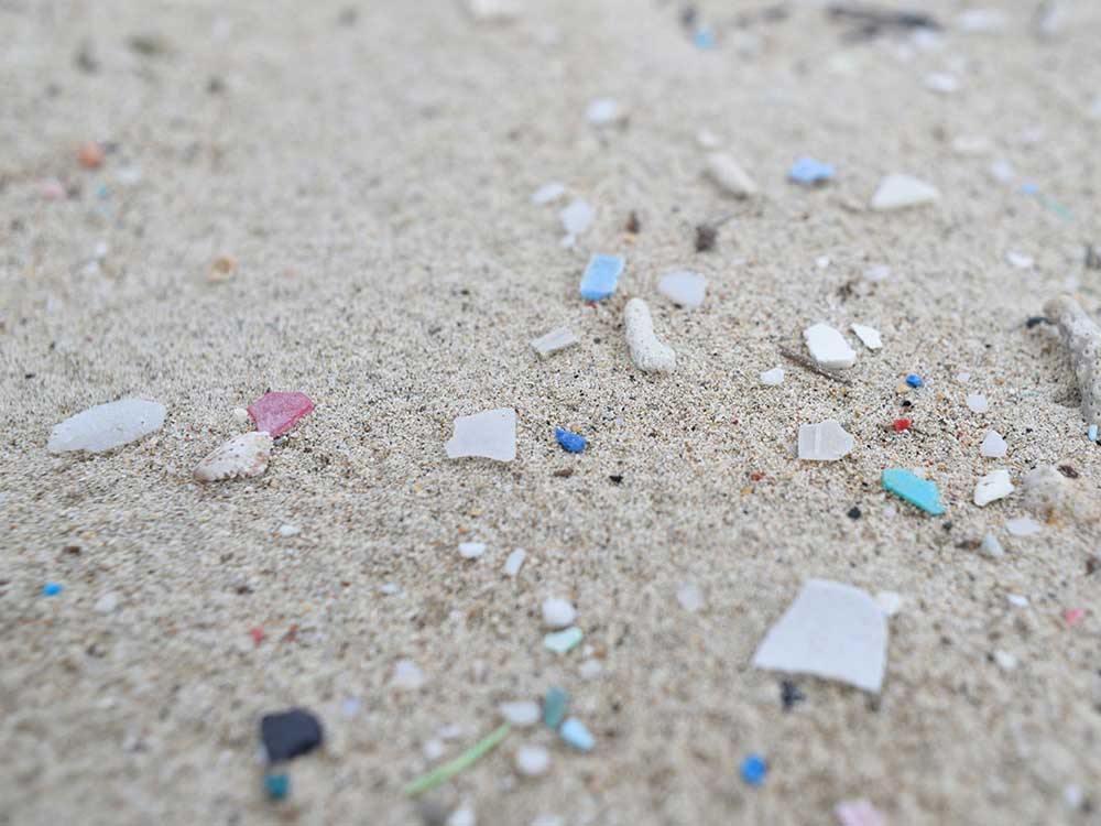 海岸のプラスチックごみの正体